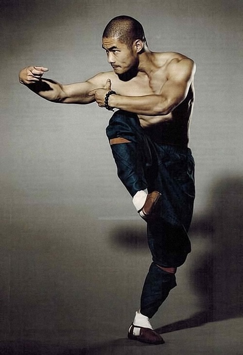 Kung-fu | Martial arts, Art poses, Action pose reference