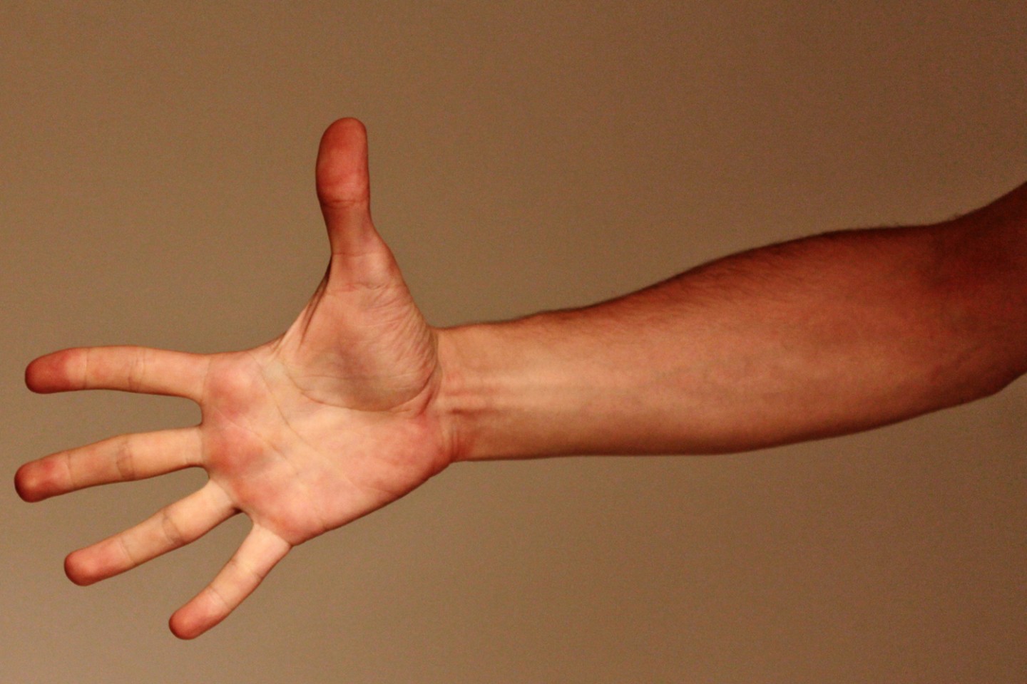 Игра говорящая рука. Руки референс фото.