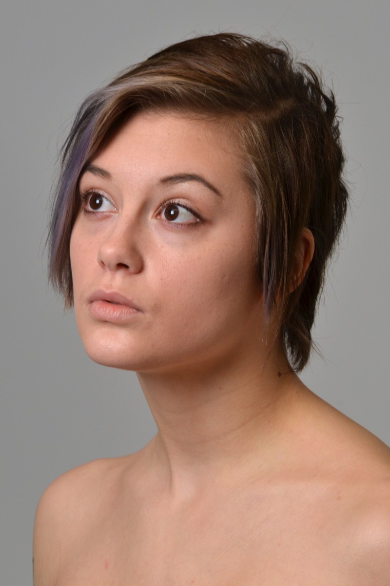 Quickposes: free image library and gesture drawing tool for artists