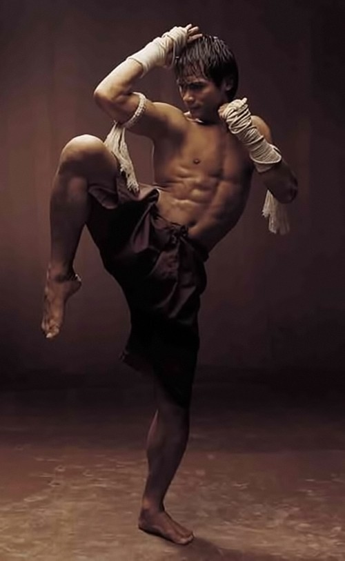 Martial Arts Pose - Download Free 3D model by TheCopyArtist  (@TheCopyArtist) [087feb5]